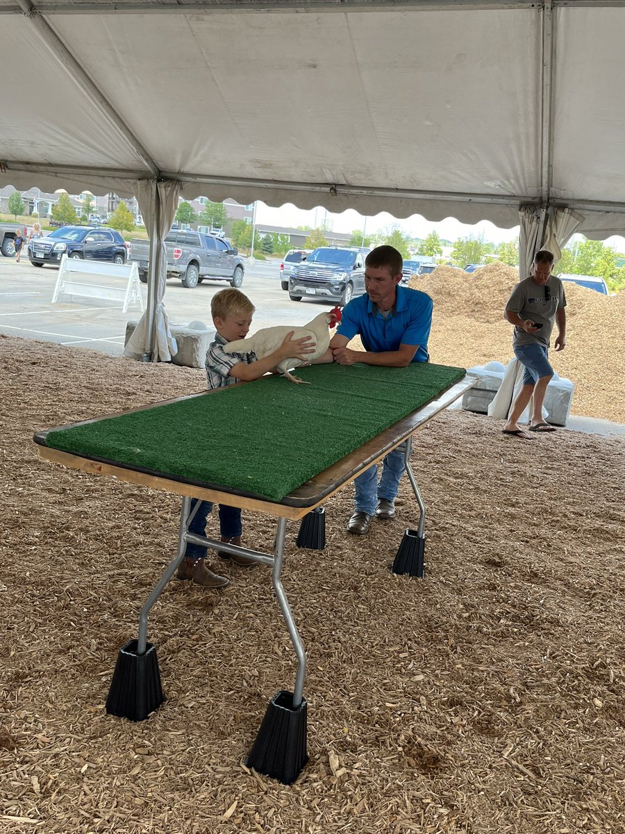DouglasCoFairNE's tweet photo. Incase you missed our Chicken Show. Here are some of the contestants! #Chicken #DCF #Contest #RalstonArena https://t.co/F9WBkynaFi