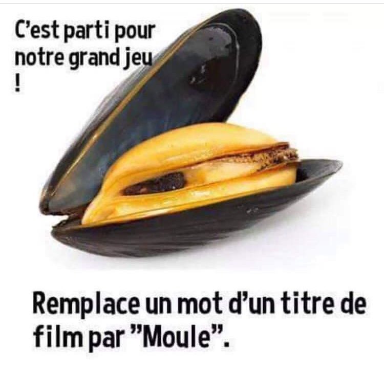 mickael 🇫🇷⚡️🙋‍♂️🏃‍♀️🏃🏽‍♂️🐕🐈🐾🇫🇷 tweet media