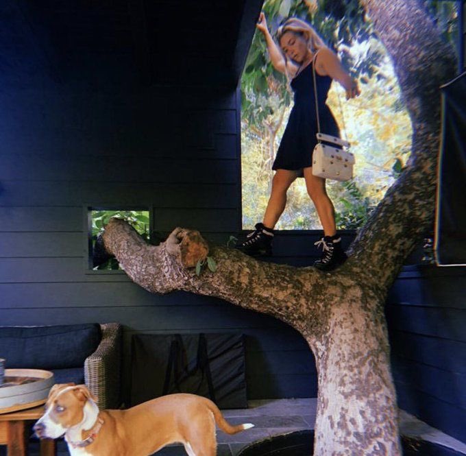 best of florence pugh tweet media