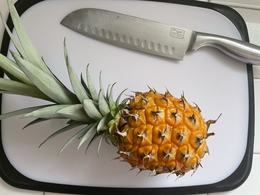 SylvieDahl's tweet photo. Pineapple harvest Number 3 - this one was a surprise. I was wrestling w/ the weeds & discovered it just in time. I’m taking it as a good omen. #garden #gardenofeatin #sundaymorning #sundayvibes #pineapplejoy https://t.co/9VDT5EXGOc