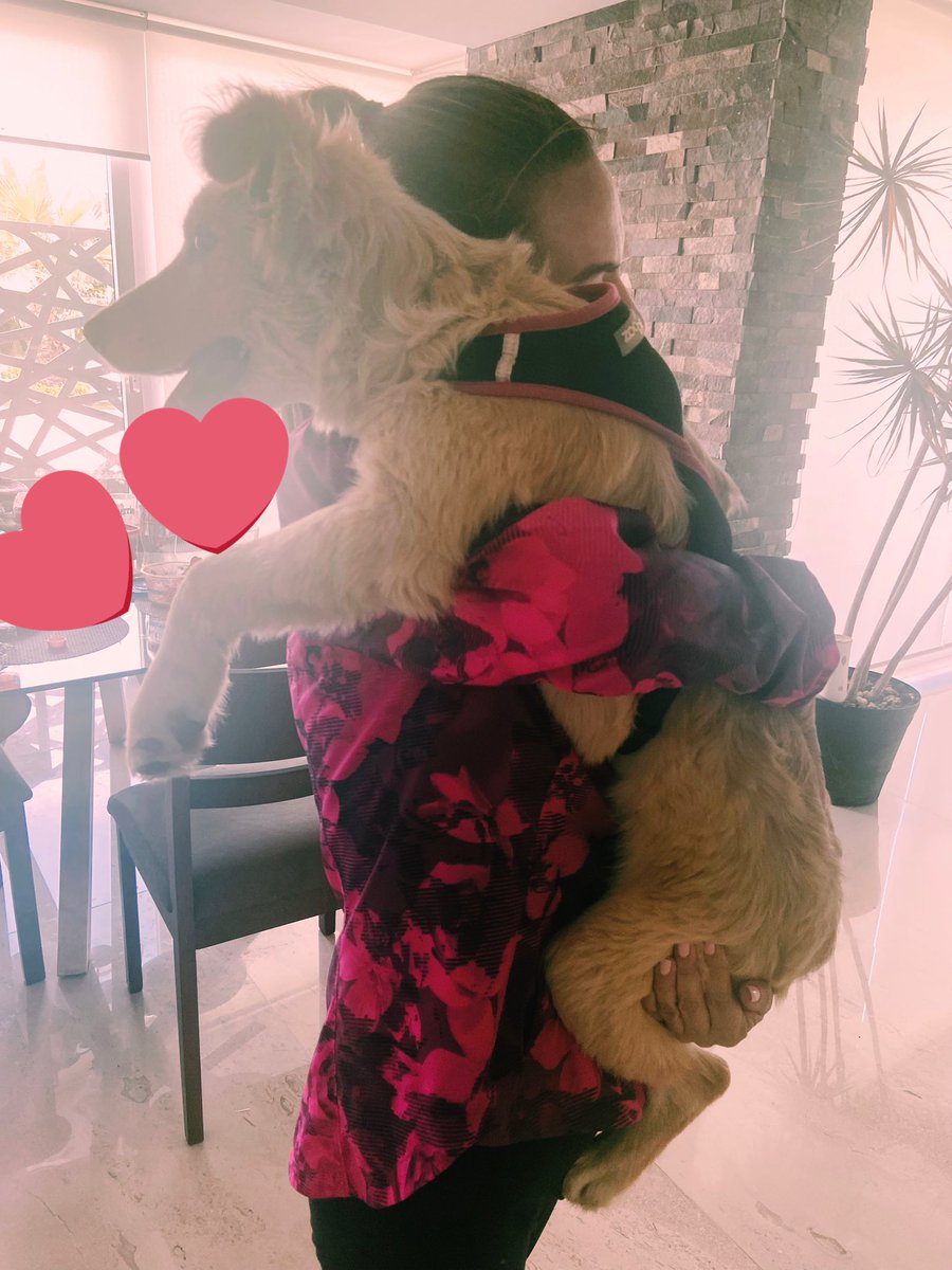 MarianaVAOM's tweet photo. Ojalá todos diéramos amor como ellos, diario 💕 #mygirl #labebedelacasa #mifiel https://t.co/DCmT0jPm5t