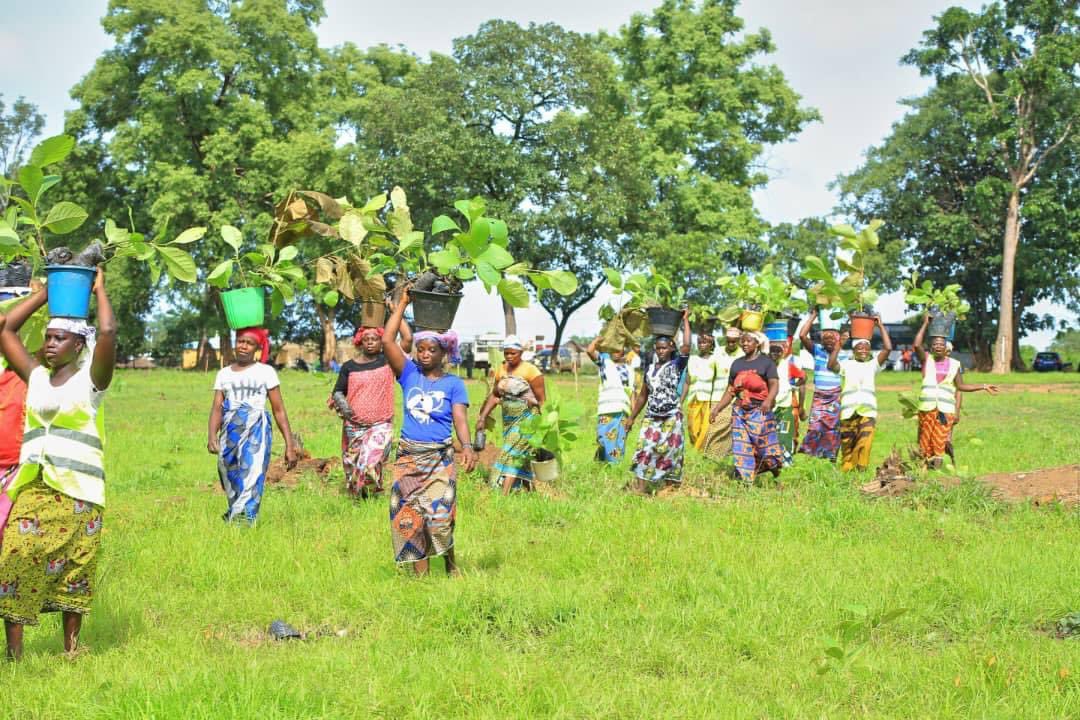 FondationYes's tweet image. Merci à toutes ces braves et dignes femmes du village de KADIOLA(sous préfecture de KIMBIRILA sud  pour cette mobilisation.
#Yesfondation.                                                    #Sodefor