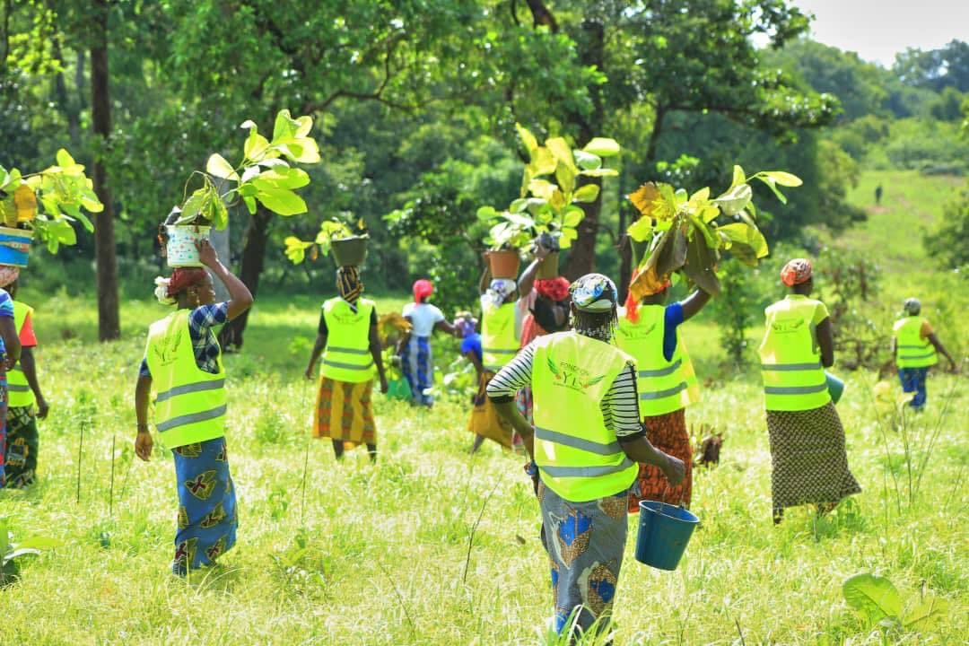 FondationYes's tweet image. Merci à toutes ces braves et dignes femmes du village de KADIOLA(sous préfecture de KIMBIRILA sud  pour cette mobilisation.
#Yesfondation.                                                    #Sodefor