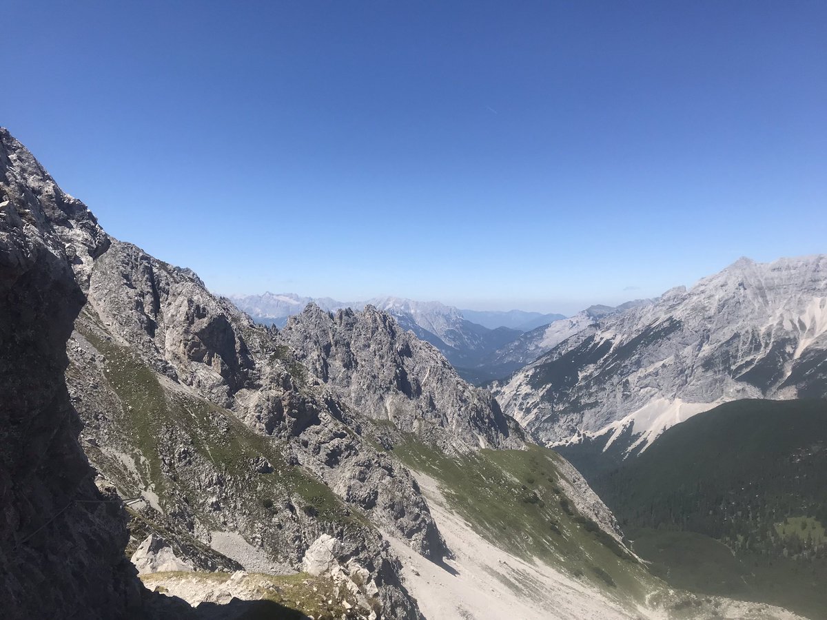 Calla Gould-Whaley tweet media