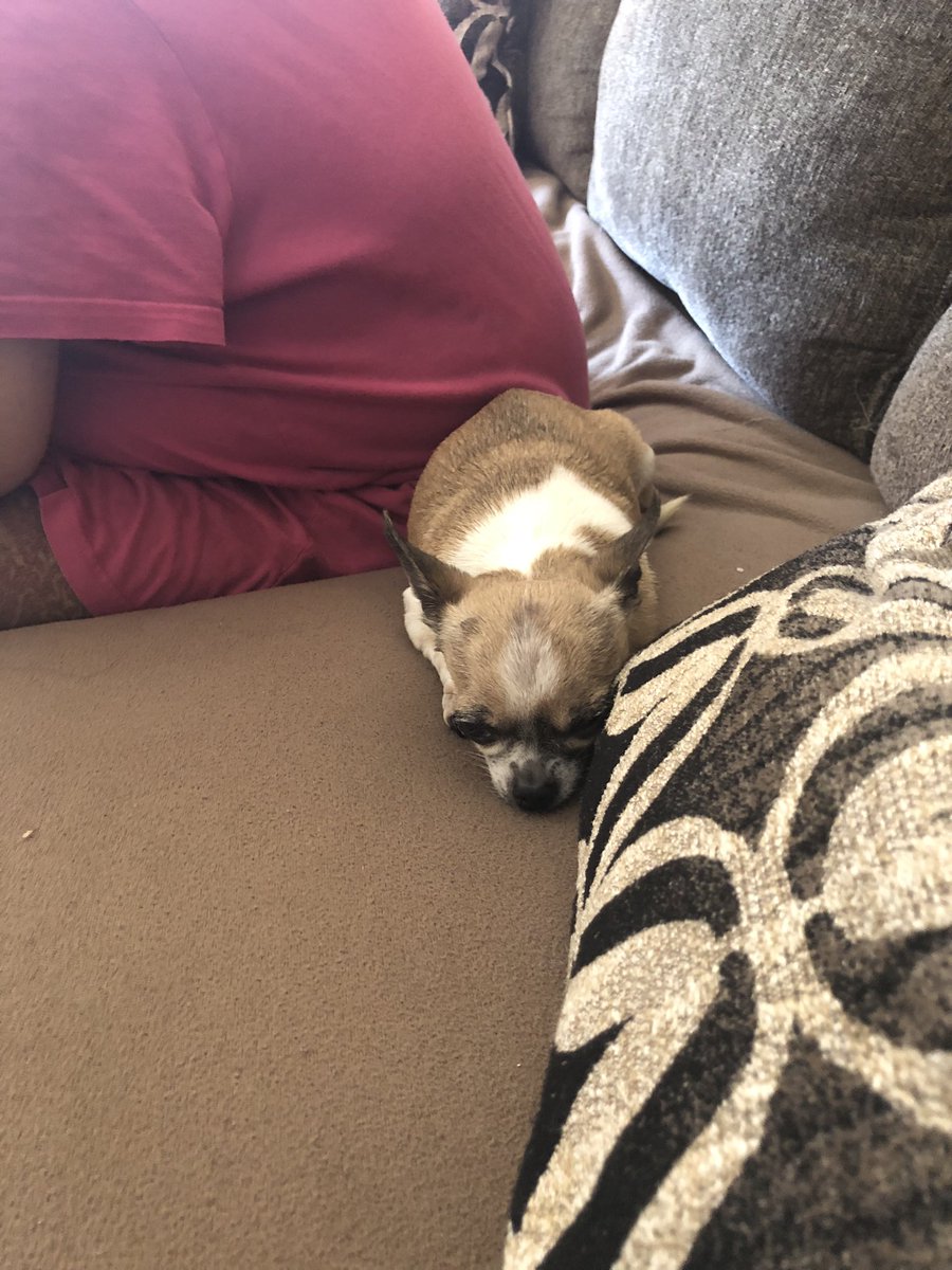 fabiolon's tweet photo. bye bye baby 💔 https://t.co/cg5y7gjRGd