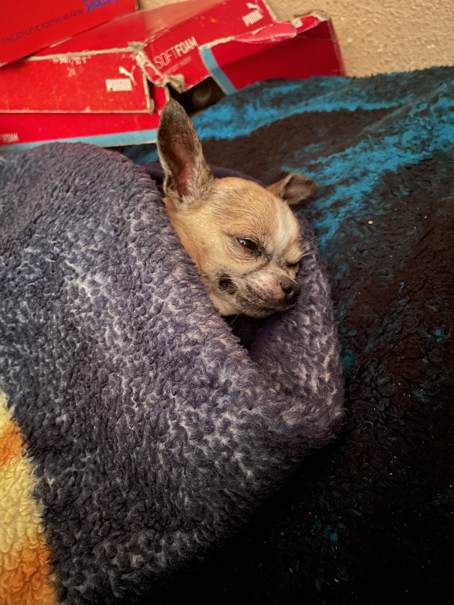 fabiolon's tweet photo. bye bye baby 💔 https://t.co/cg5y7gjRGd