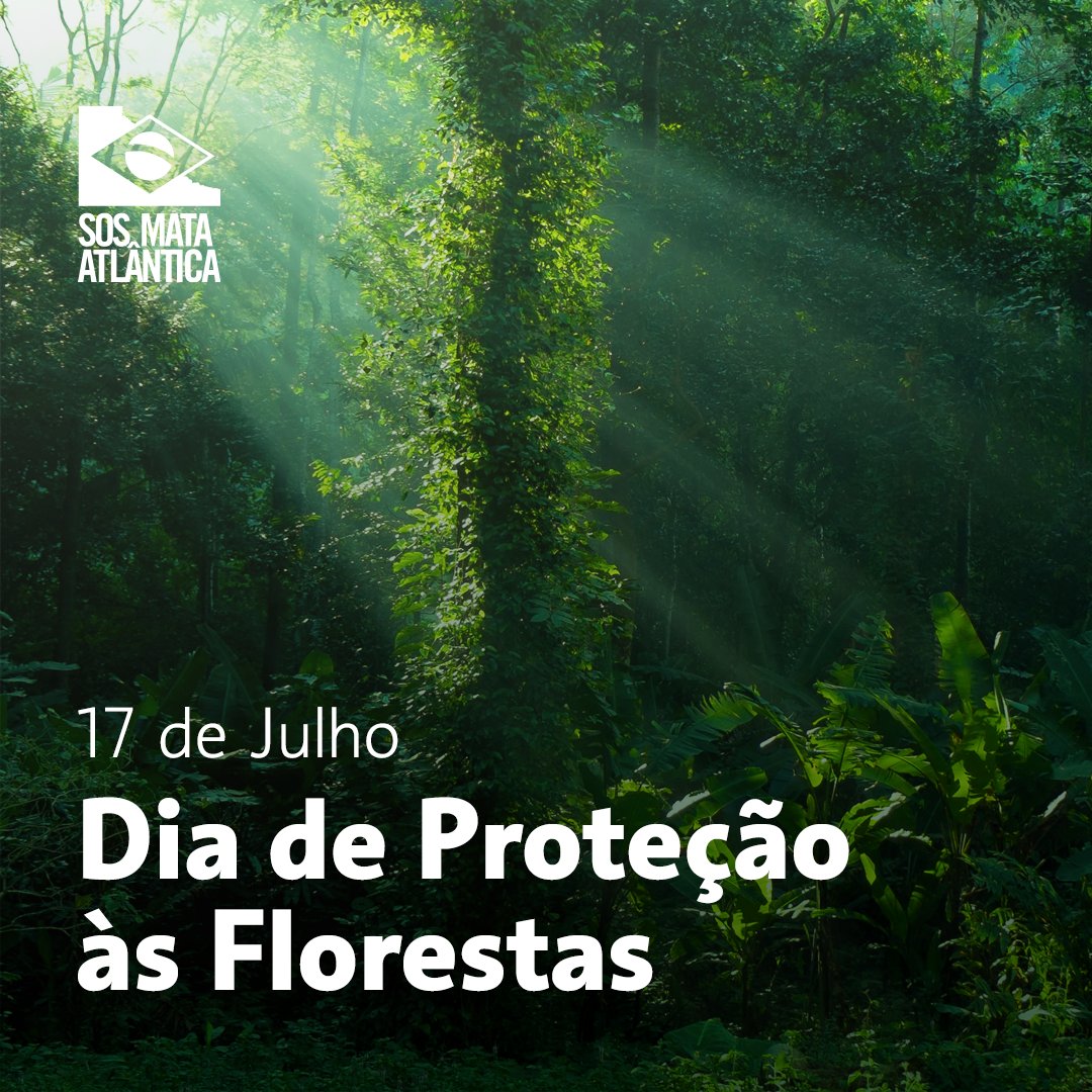 SOS Mata Atlântica