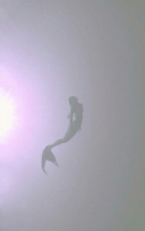 EricEsoteric_'s tweet photo. the moon is in pisces https://t.co/Yr2S7Ly11v