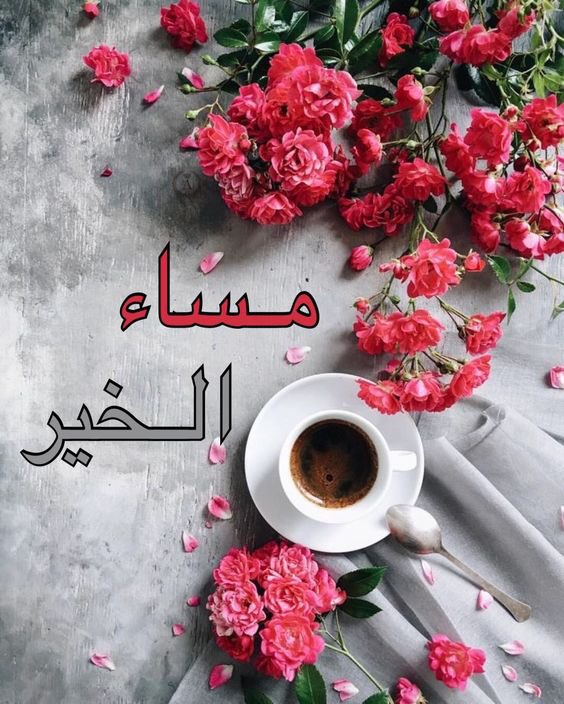 mamito_4u's tweet photo. اللهم عافية وراحة بال ومساء لا يمسنا فيه سوء 

مساء الخير https://t.co/YMdyF1aIN2