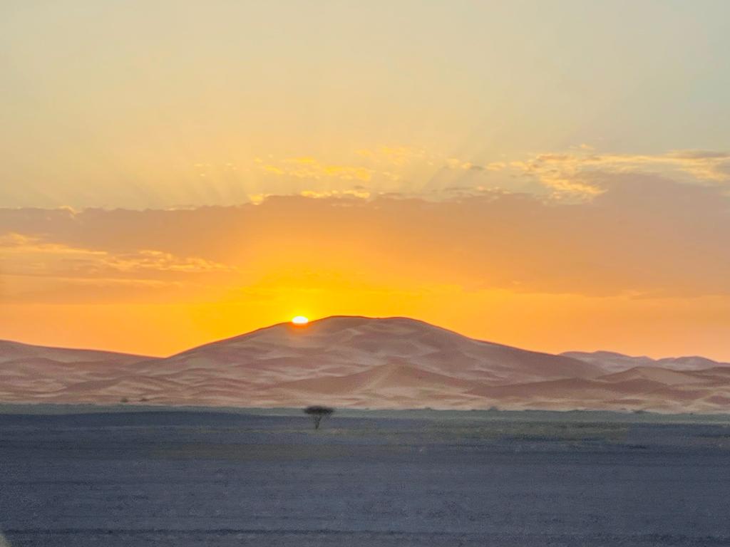 Rallye Du Maroc tweet media