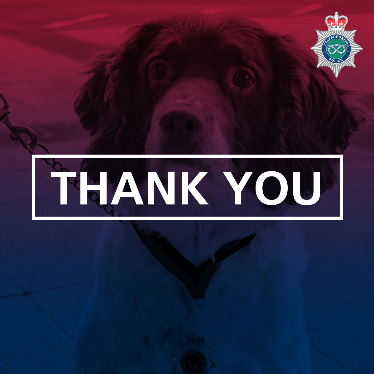 LichfieldPolice's tweet photo. A big thank you from Lichfield Police to all of the public who helped communicate via the families facebook alert regarding their missing child.
We have managed to locate her and she is now back home with her family safe and well.
#PerfectTeamwork https://t.co/3hTKKRBnTB