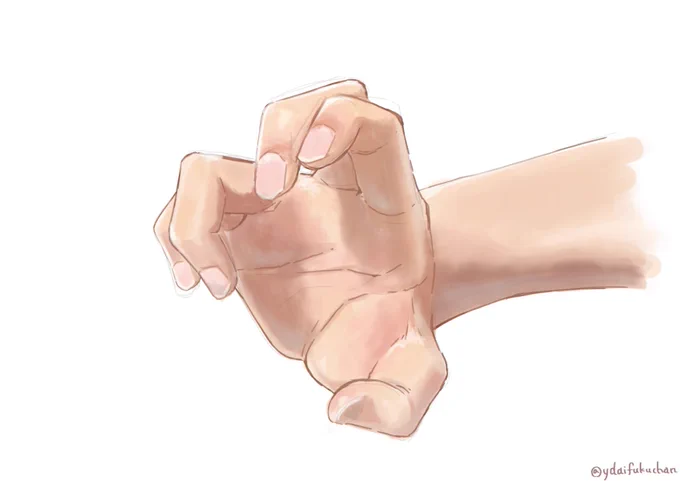 手の練習したかったから、専属の手タレ(夫)にポーズしてもらった#イラスト練習 