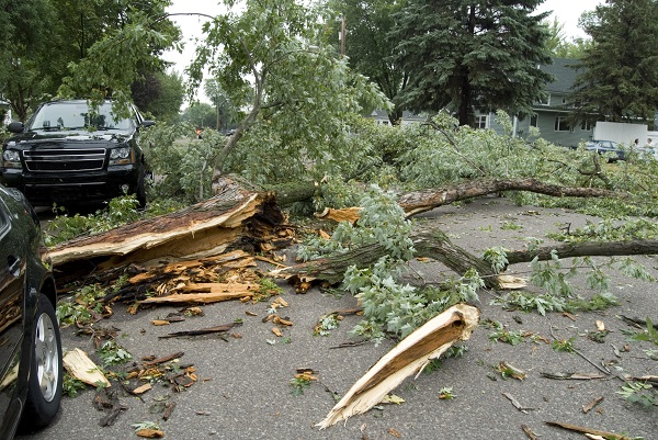 Colucci_Dally's tweet photo. When trees take a tumble, damage to your home and property can be catastrophic. Homeowners insurance may help cover some of the cost damage from a fallen tree, but it's important to check to determine if your covered. Give us a call today and learn more! https://t.co/fyM9l2Gz4v