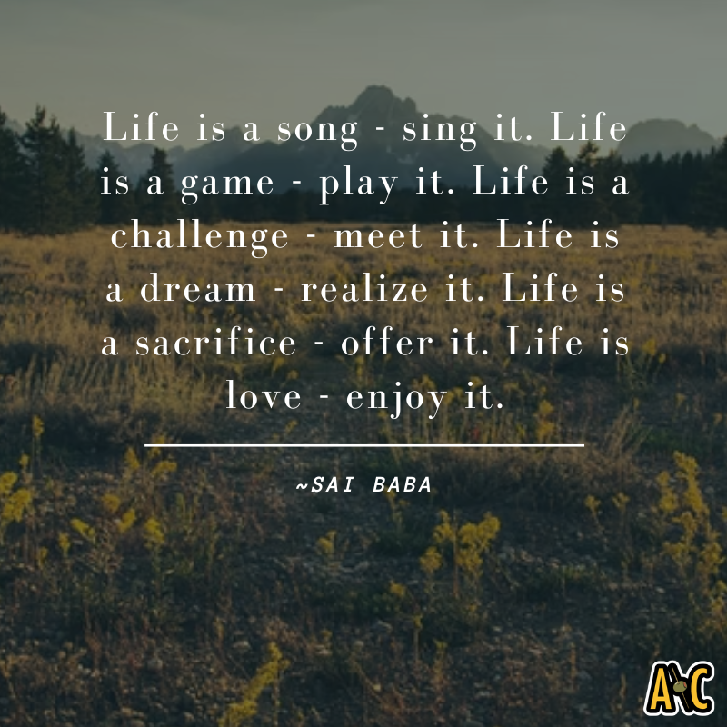 Alcohol Controls tweet media