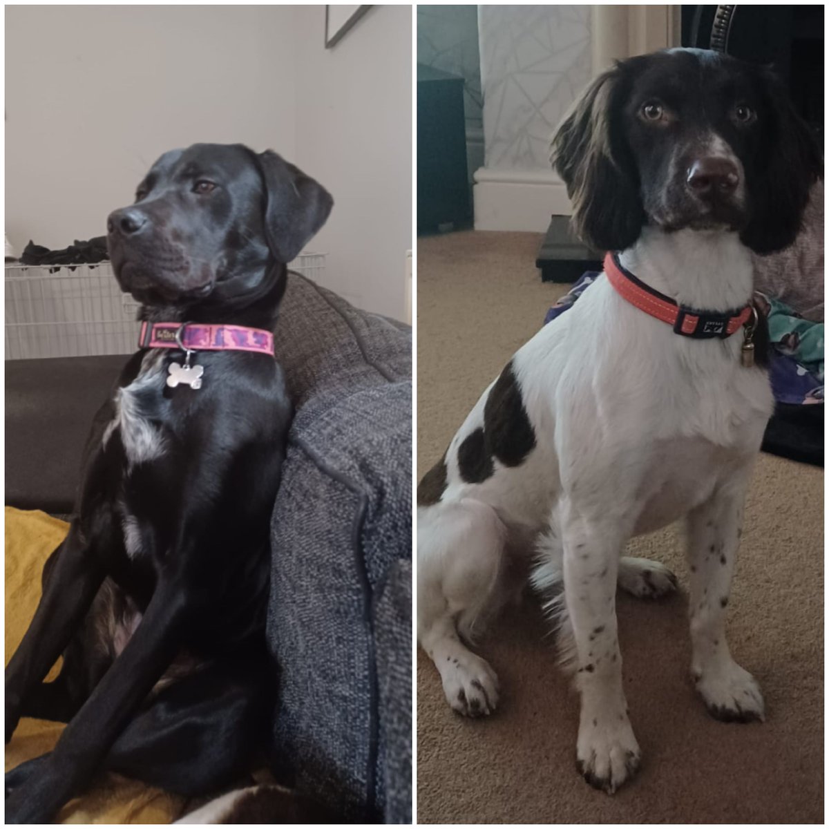 Jo McHale tweet media