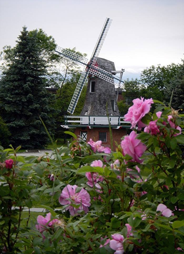 friendsTBcon's tweet photo. Why not get out & enjoy #ThunderBay's 56+ km of multi-use recreation trails. The Centennial Botanical Conservatory and the International Friendship Gardens are only a pleasant stroll apart.
#tbaylovin #activetbay #walktbay #biketbay #tbay https://t.co/YQrIltSa6k