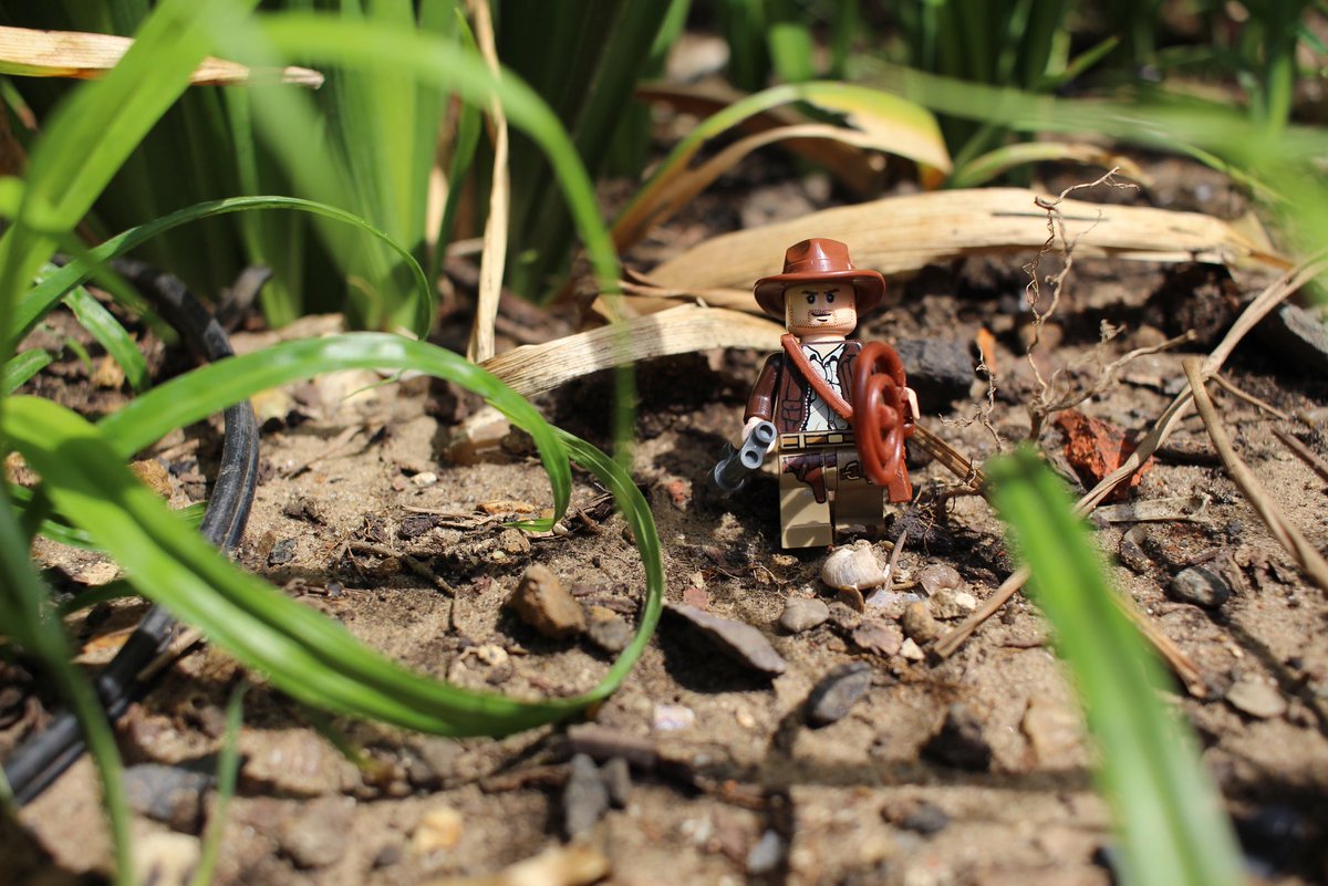 arranstudios's tweet image. Had a go at LEGO photography. @LEGO_Group what do you think?