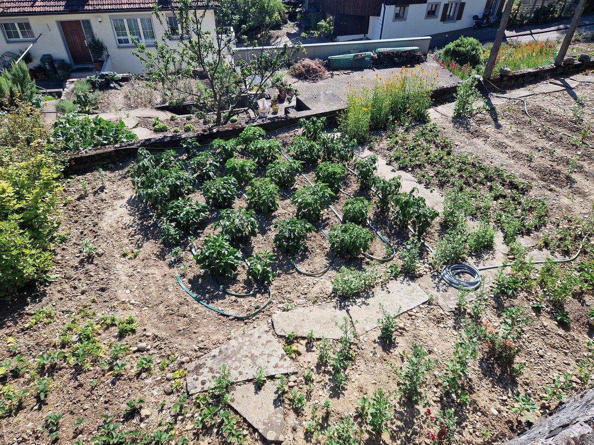 Chili Willy (@chiliwillybaden) on Twitter photo 