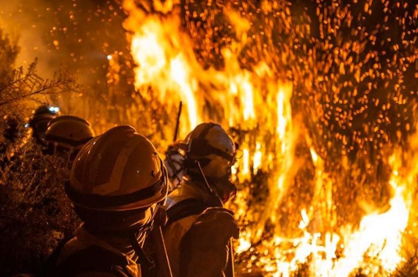 Olé sus huevos. Y sus ovarios.