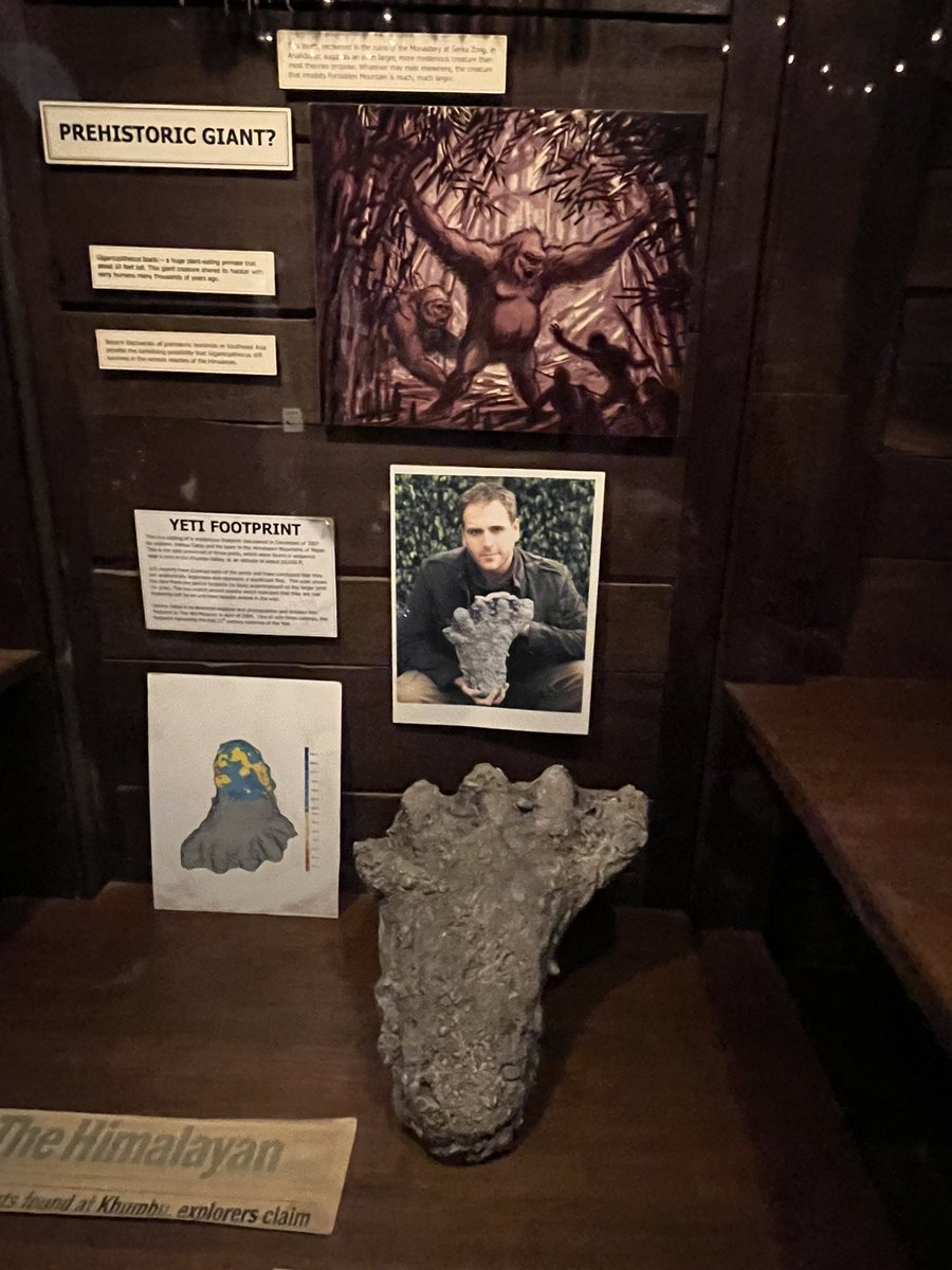 TBluvs2rD's tweet photo. Found #TheYeti AND @joshuagates at #ExpeditionEverest So glad the ride is running again!!! #DisneyAnimalKingdom #JoshGates #ExpeditionUnknown #DisneyParks #WDW https://t.co/LUhYPMUjaP