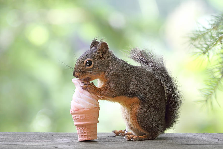 @viewfrommyoffic @cakikeith @dwshellby @rona65 @lindarchilders @Kia720 @47young1 @Preciosa_Liz @BibiCheret @ellelljaytoo @SadlyCatless @DaiseyDoesIt @lisamcguire1 @WTFMahon Happy #IceCreamDay