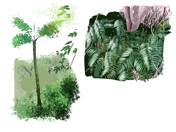 シダ植物のtwitterイラスト検索結果