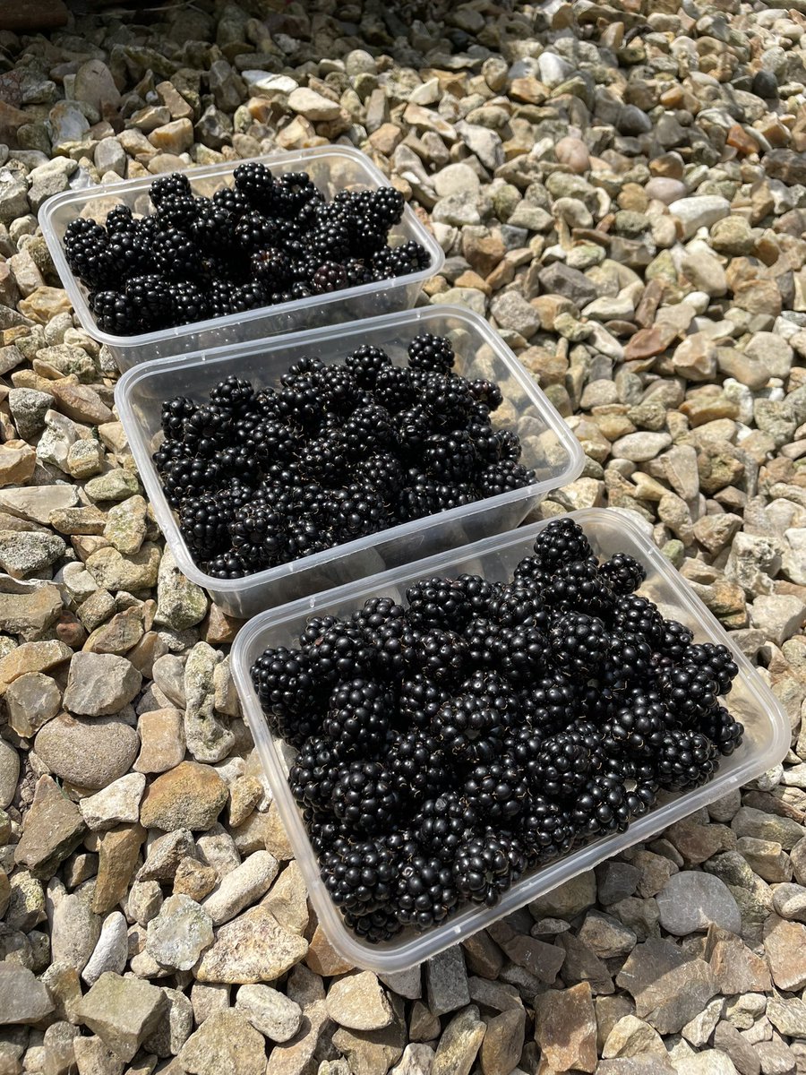 ewenmcleish tweet media