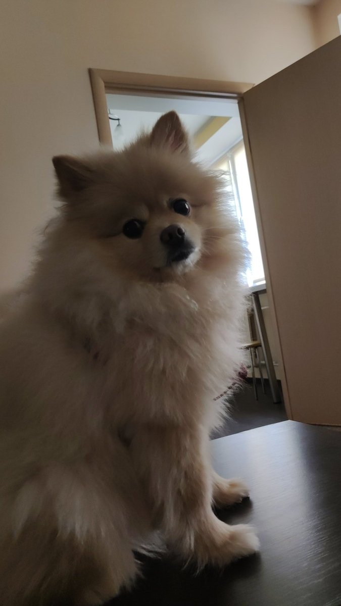 Посмотрите на эту сладкую булочку🥰