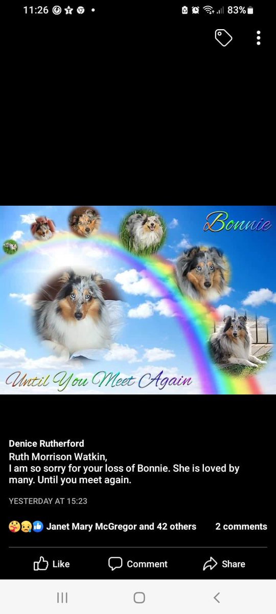 Hi everybody it is with great sadness to post this tweet.Our beautiful girls body was recovered from Farnworth rail tunnel on Thursday night.We are absolutely devastated would like to thank everyone for their RT’s.We are very aggrieved at NWR for their part in this whole scenario