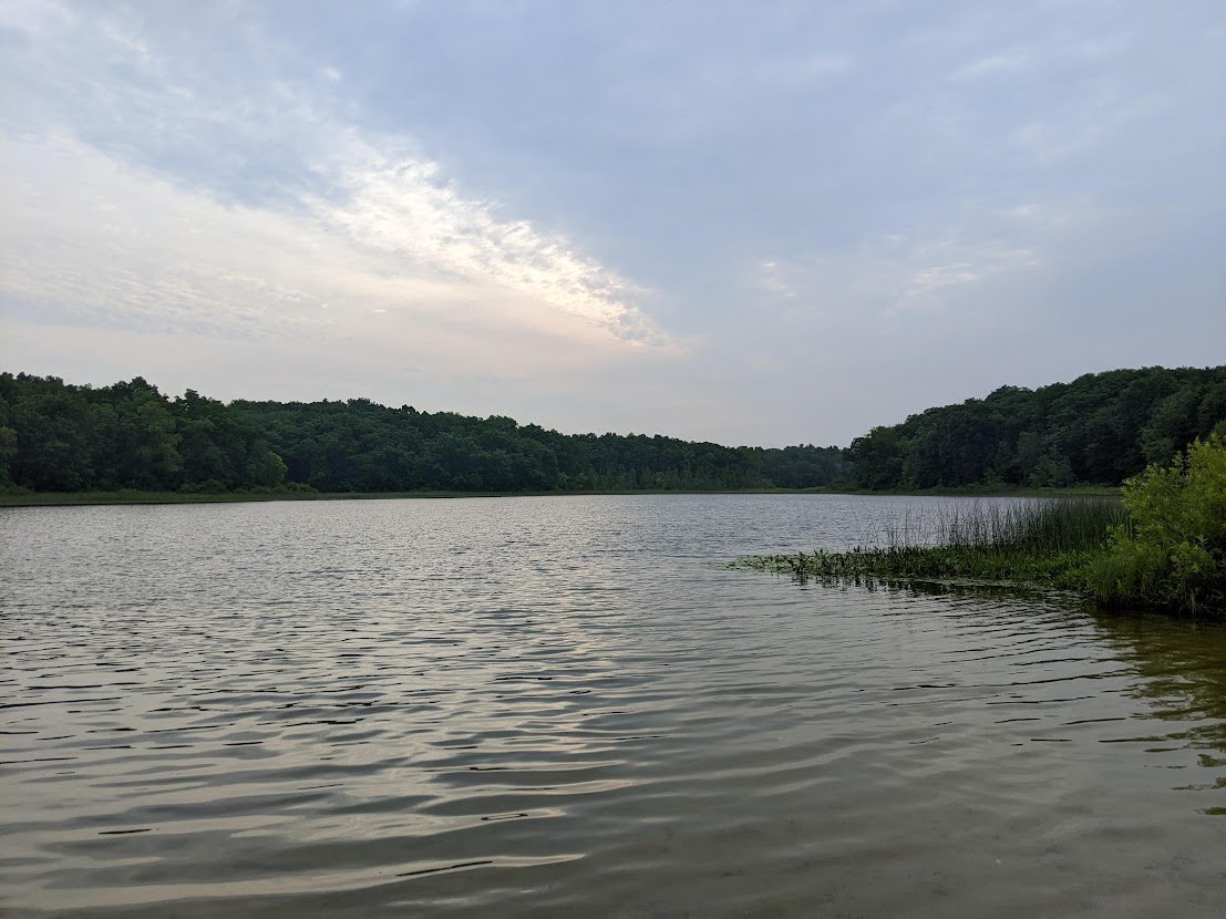 Tim McKay tweet media