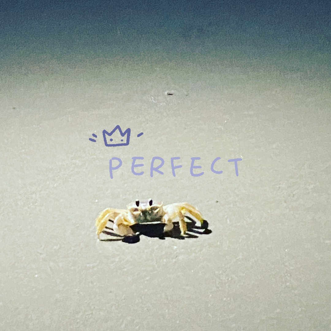 Quick reminder-
You are Perfect 
💟 💟 💟