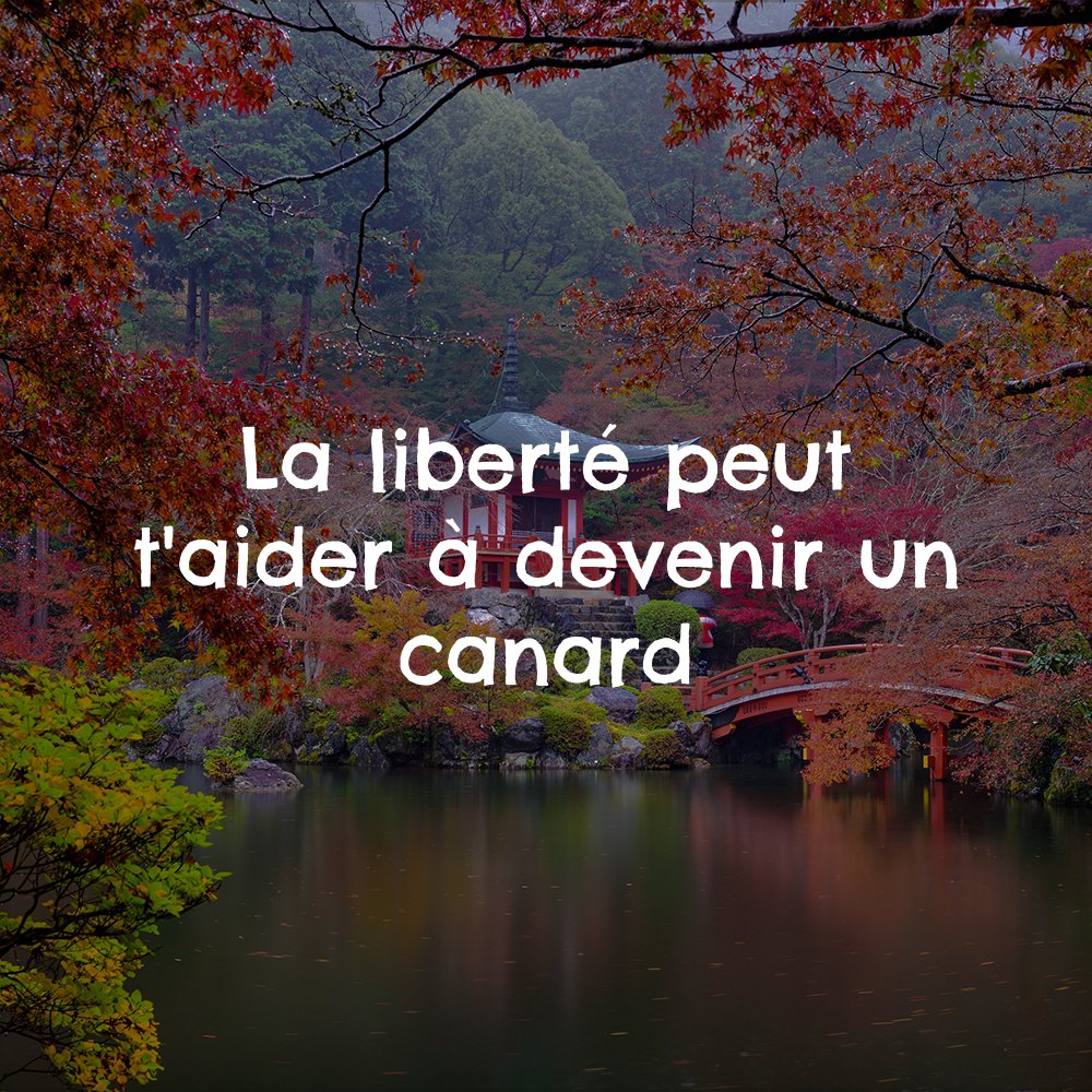 Proverbot 🌚 (@theproverbot) on Twitter photo 