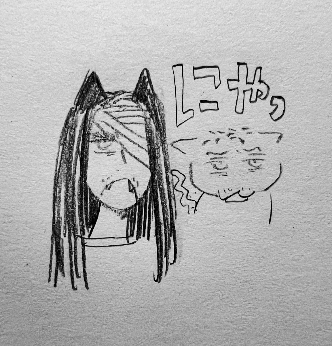 🐈‍⬛🐈 