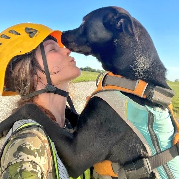 roguedetection's tweet image. With 24 #DetectionDogs in our pack, it's hard to highlight EACH of their incredible contributions to #ConservationScience. This is our *small* way of giving them &amp;amp; our #K9Handlers a #PawsUp for all their #GOODWORK in #WildlifeConservation! 🐾✊🏽

📸 New recruits, Circe &amp;amp; Violet 💋