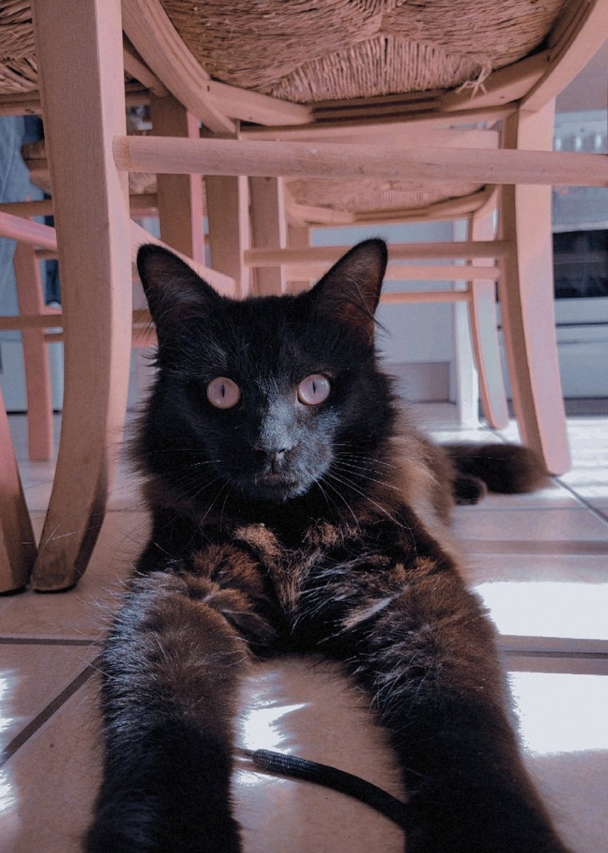 moonlightadele's tweet image. Hi Norman Reedus