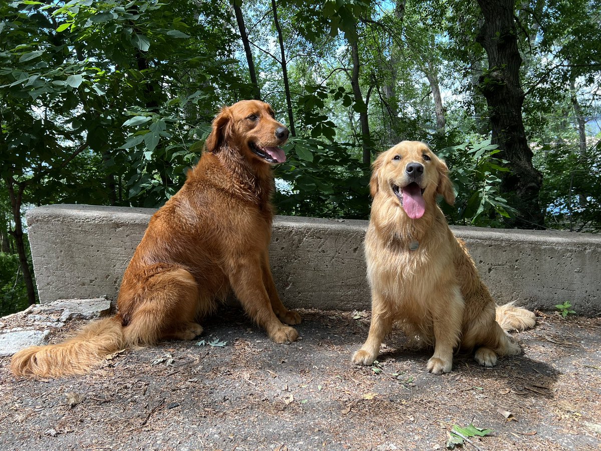 Darbi Jo The Golden tweet media