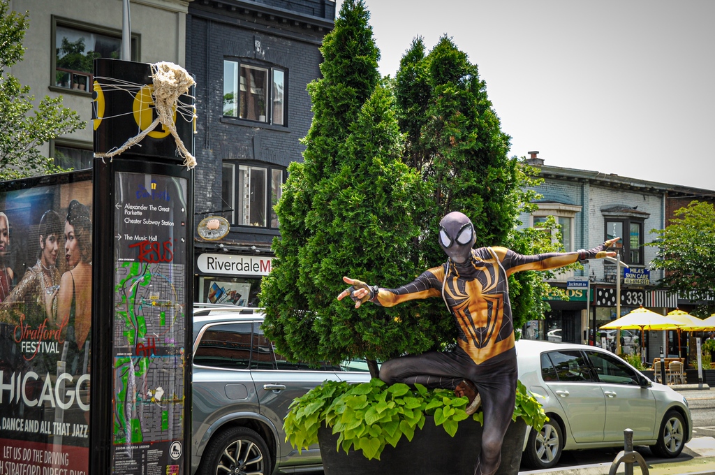 BroadviewDanBIA's tweet photo. Your friendly neighbourhood Spiderman popped by #BroadviewDanforth recently. We caught him here by the #CarrotCommon. Have any of you spotted him recently?

Tag us if you’ve seen him here too 😁 🕷🕸

👁 @p3t3rparkour

#peterparkour #torontospiderman #torontospidermansightings https://t.co/rTiSS4M5ef