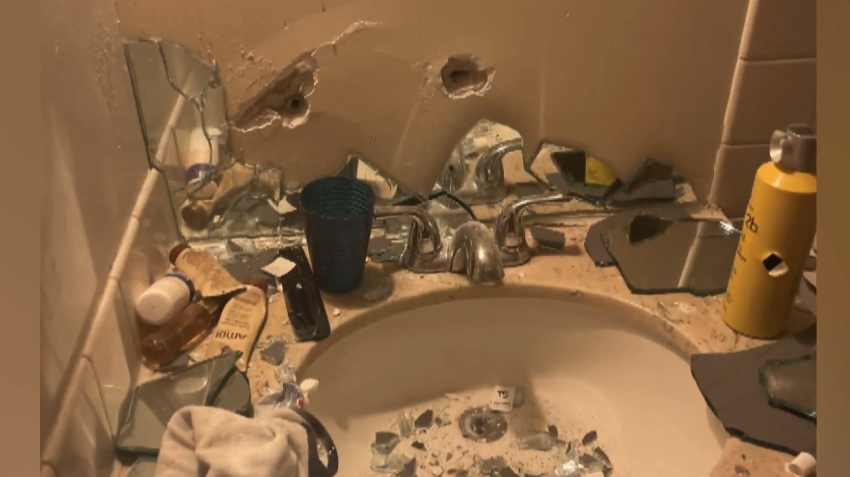 Bias Visualizer 📊 tweet media