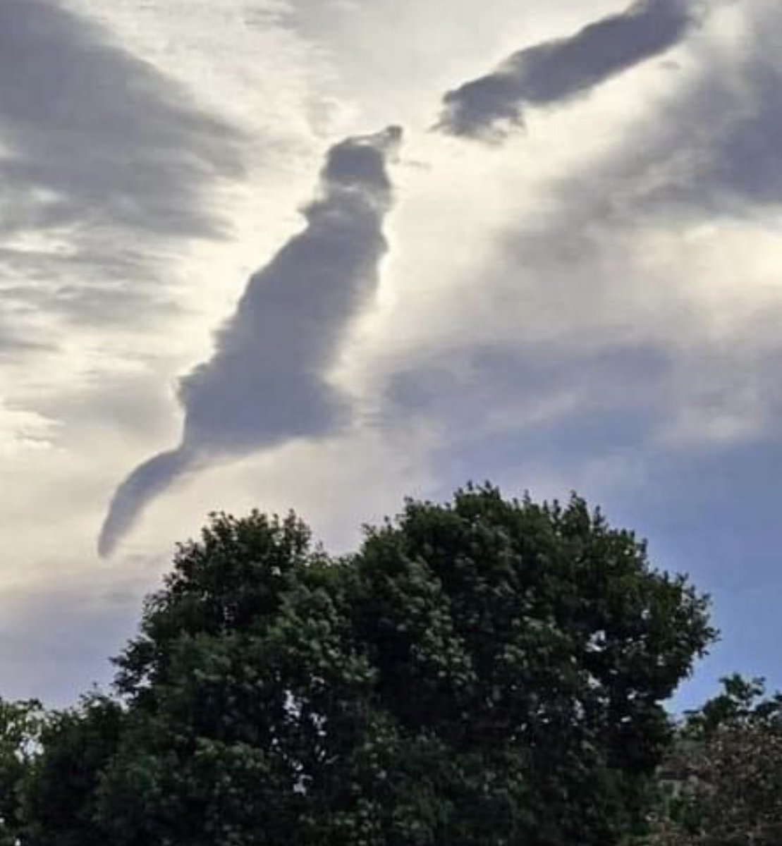 #DOGE 
RETWEET RETWEET RETWEET