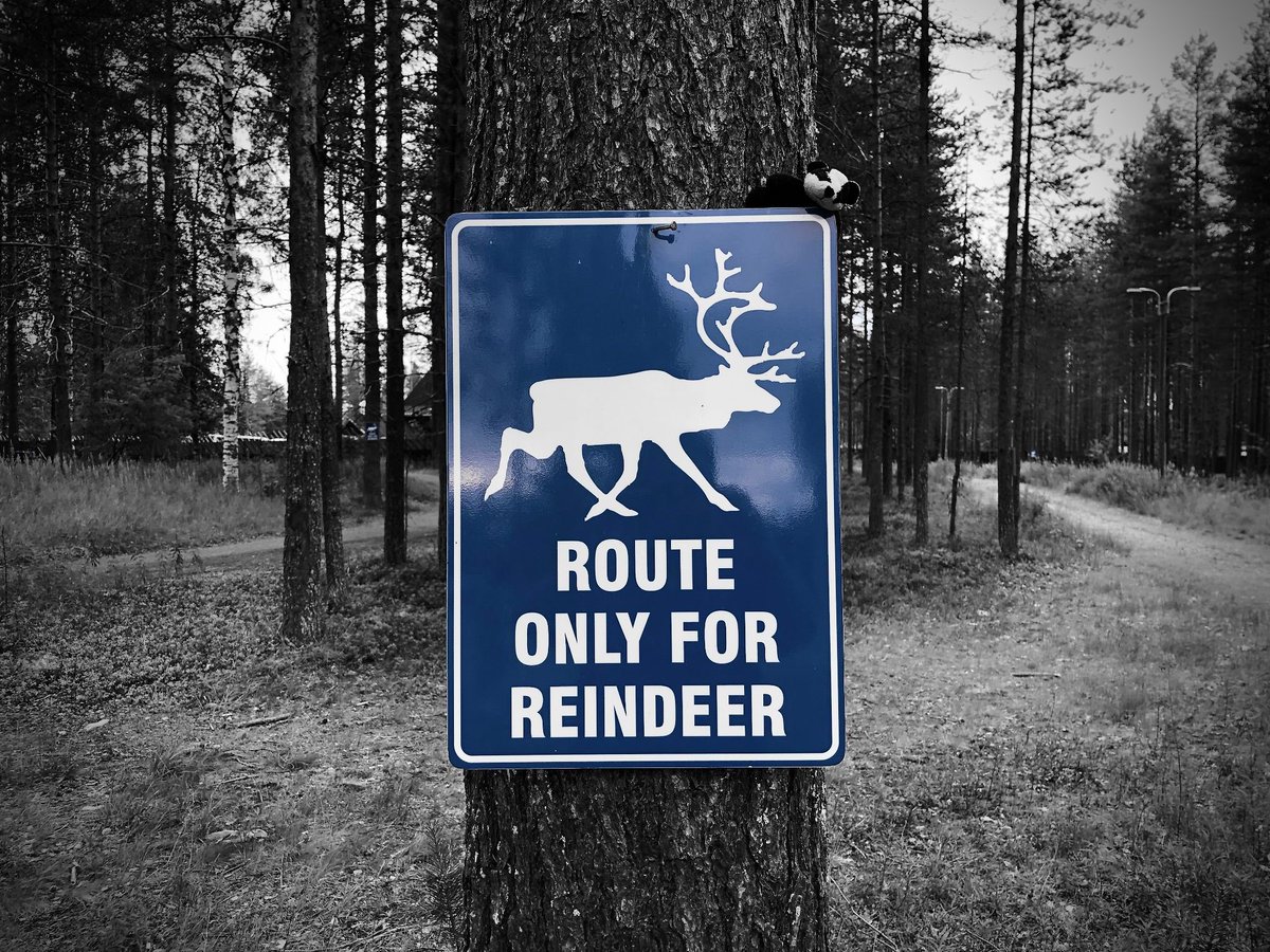 BadgerintheWall's tweet photo. Reindeer Route

#badger #bw #bnw #bnwphotography #bnwphoto #blackandwhitephotography #blackandwhitephotos #blacknwhite #bnw_photo #photooftheday #picoftheday #monochrome #monochromephotography #reindeer #route #sign #finland #lapland #blue https://t.co/4V3TkZOf6S
