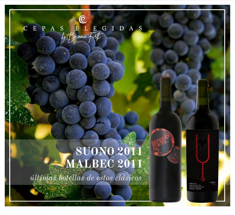 Últimas botellas de estos clásicos!

Pedinos nuestro whatsapp por DM!

#vinos #wines #winemaking #winemaker #winery #bodega #Vendimia #harvest #barricas #barrel #estiba #añejamiento #winepositive #compra #shop #online #fraccionar #hacedor #botellas #corchos #cork #vino