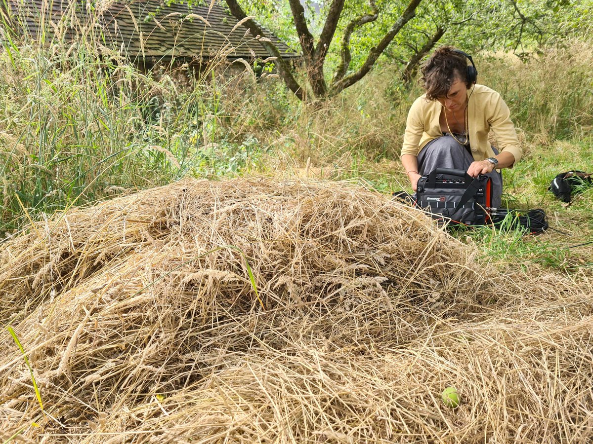 alicealicealice: @ecila@mastodon.social tweet media