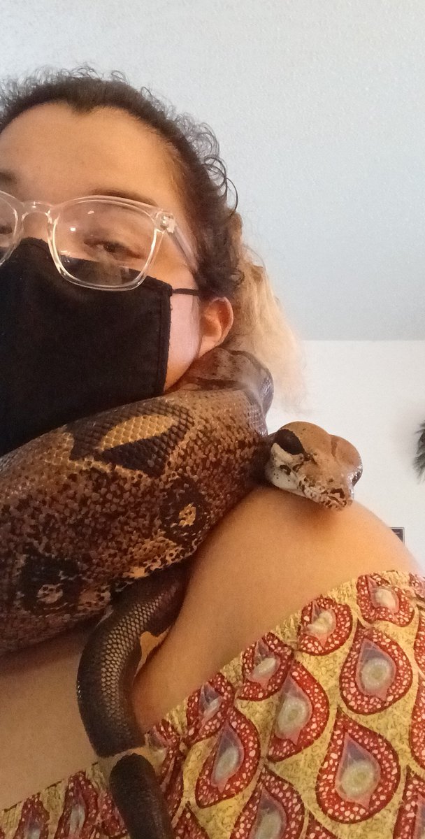 GetNanie's tweet photo. This is Nova, the African red tail boa that's constricting my heart. 🥰😽 #bbw #snakes #boa #contentcreators   #soflo https://t.co/HAjEYMpOe6