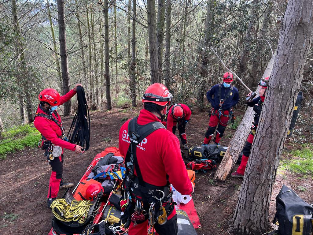 CBV1851's tweet photo. RESCATE | El día de hoy, distintas especialidades de rescate (USAR,GRIMP y otras instituciones) continúan con la búsqueda de el joven desaparecido en el sector del mirador salto del agua, esto en Placilla de Peñuelas. https://t.co/VImUiSkqCG