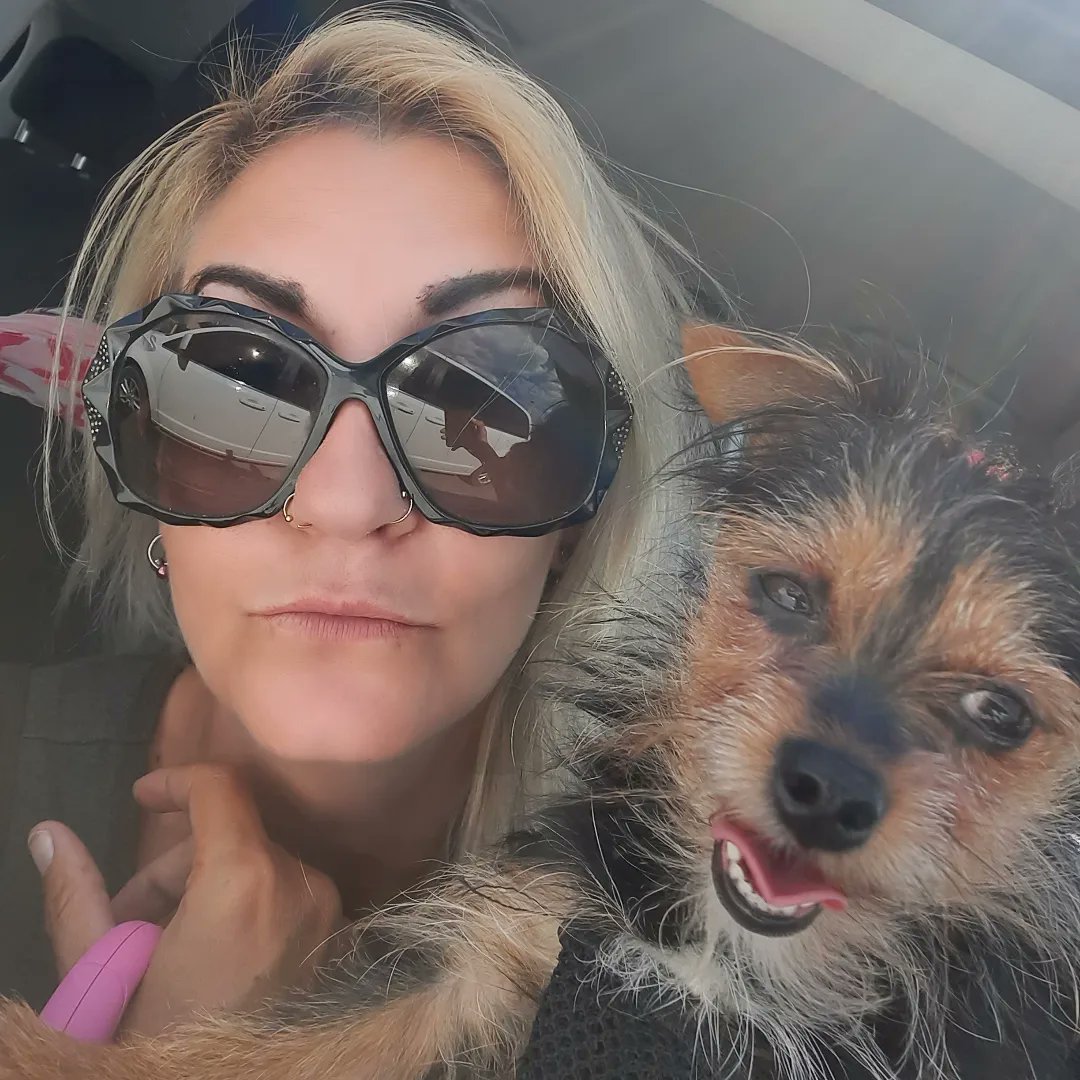 _LucieBee's tweet photo. Last of the #schmoopy #DogsofTwittter #Chihuahua #mixedbitch https://t.co/kDPSuAQZPo