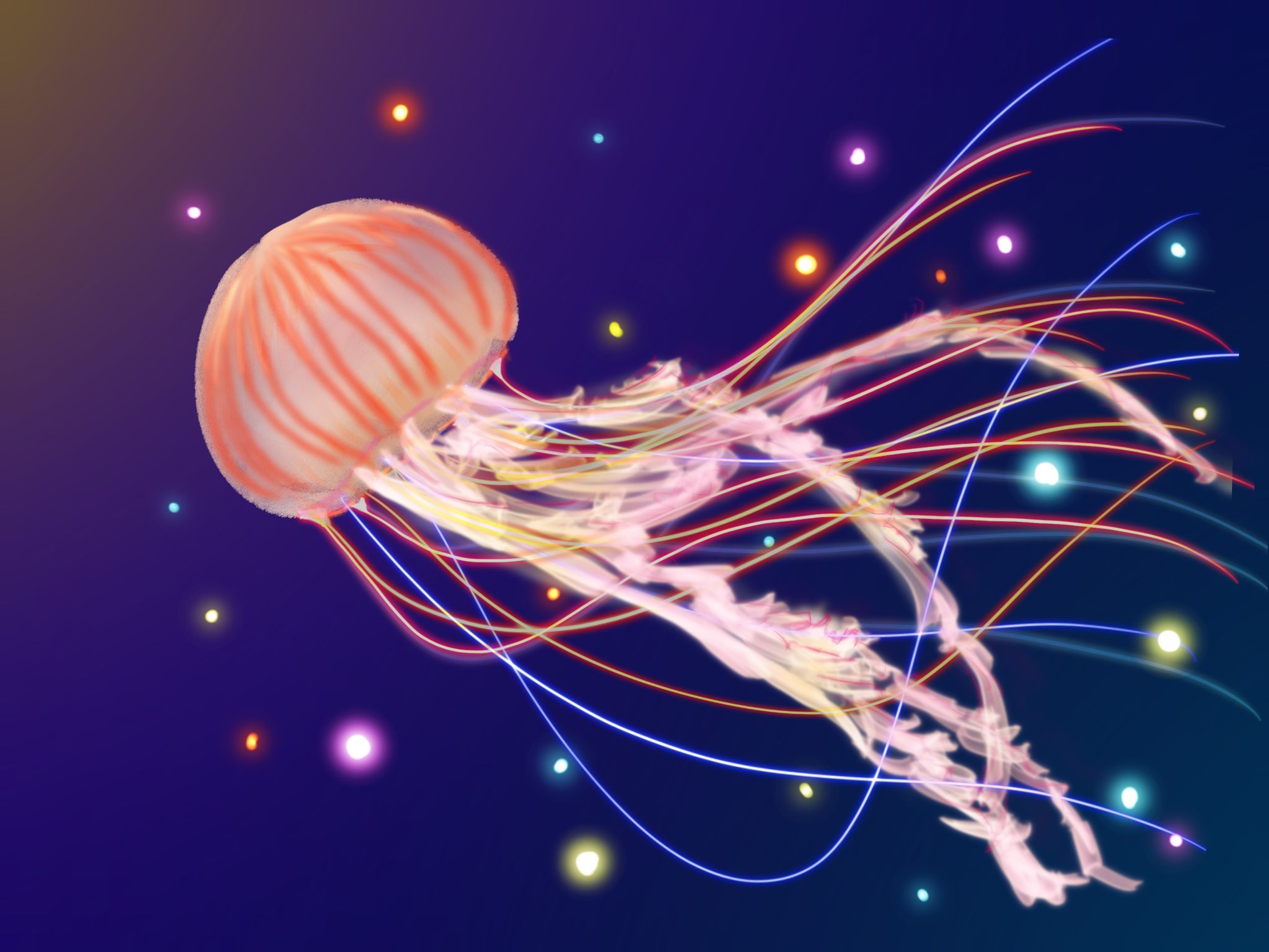تويتر クラゲイラスト البحث في تويتر