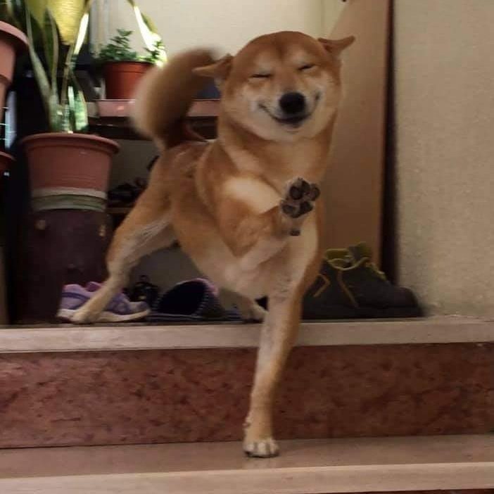 #NewProfilePic