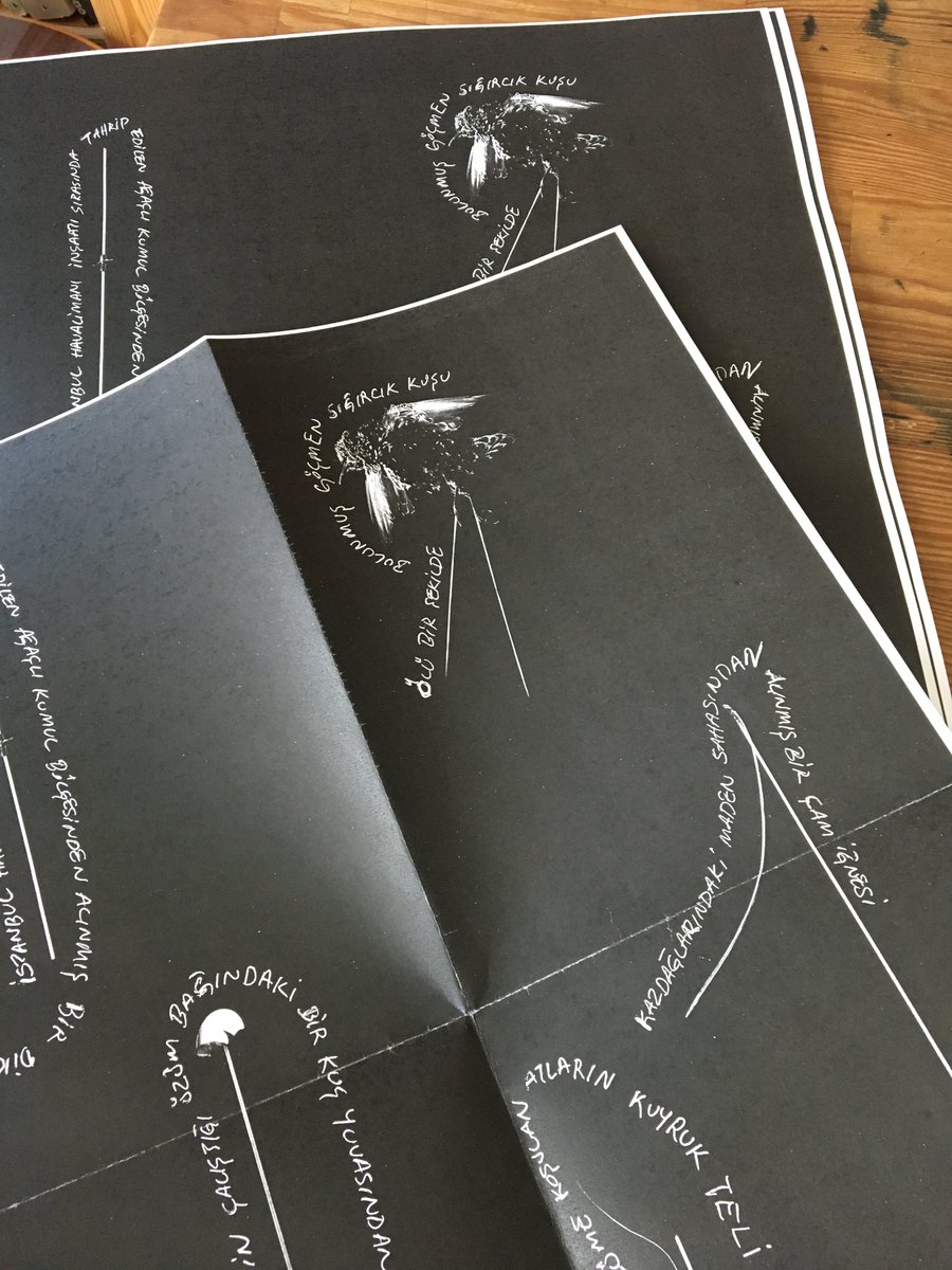 Anıl Olcan tweet media