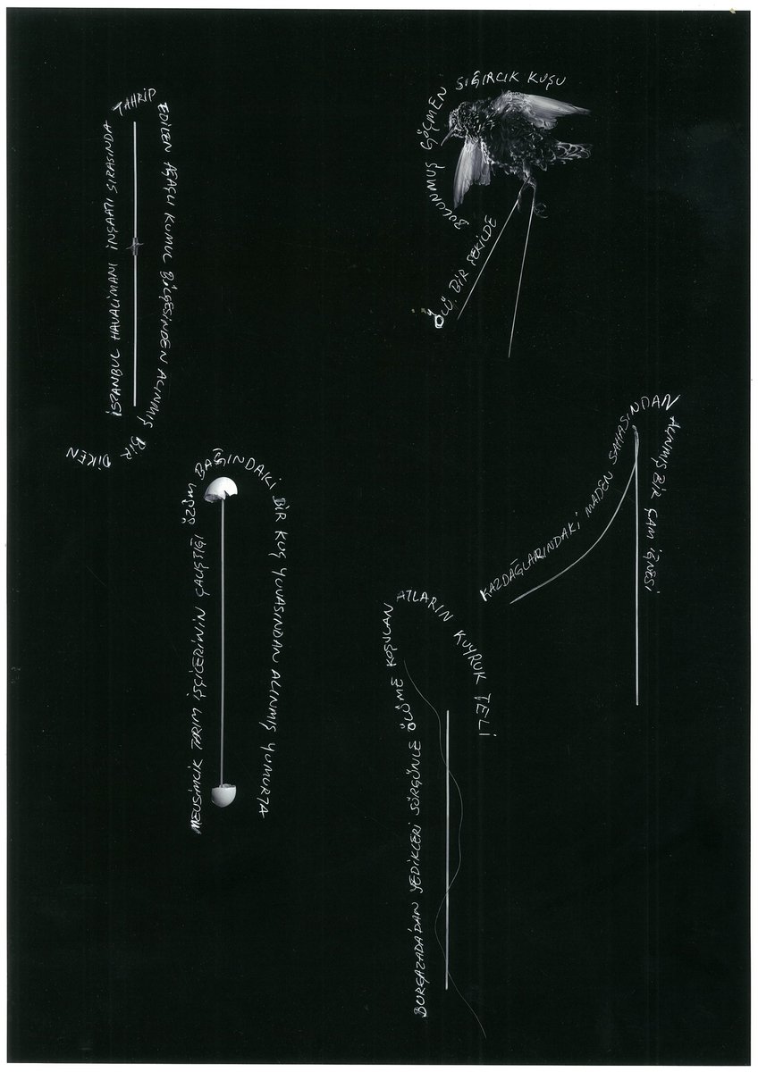 Anıl Olcan tweet media