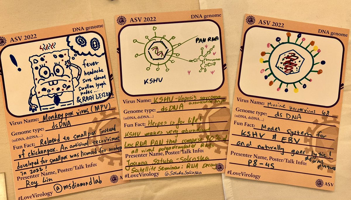 Showcasing some DNA virus love! Come learn from Roy <a href="/msdiamondlab/">msdiamondlab</a>, Joanna <a href="/SztubaSolinska/">Joanna Sztuba-Solińska</a>, about KSHV at P8-45! #LoveVirology #ASV2022